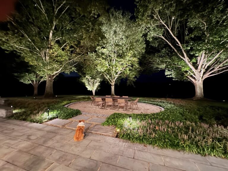 Landscape lighting on trees around a stone patio at night